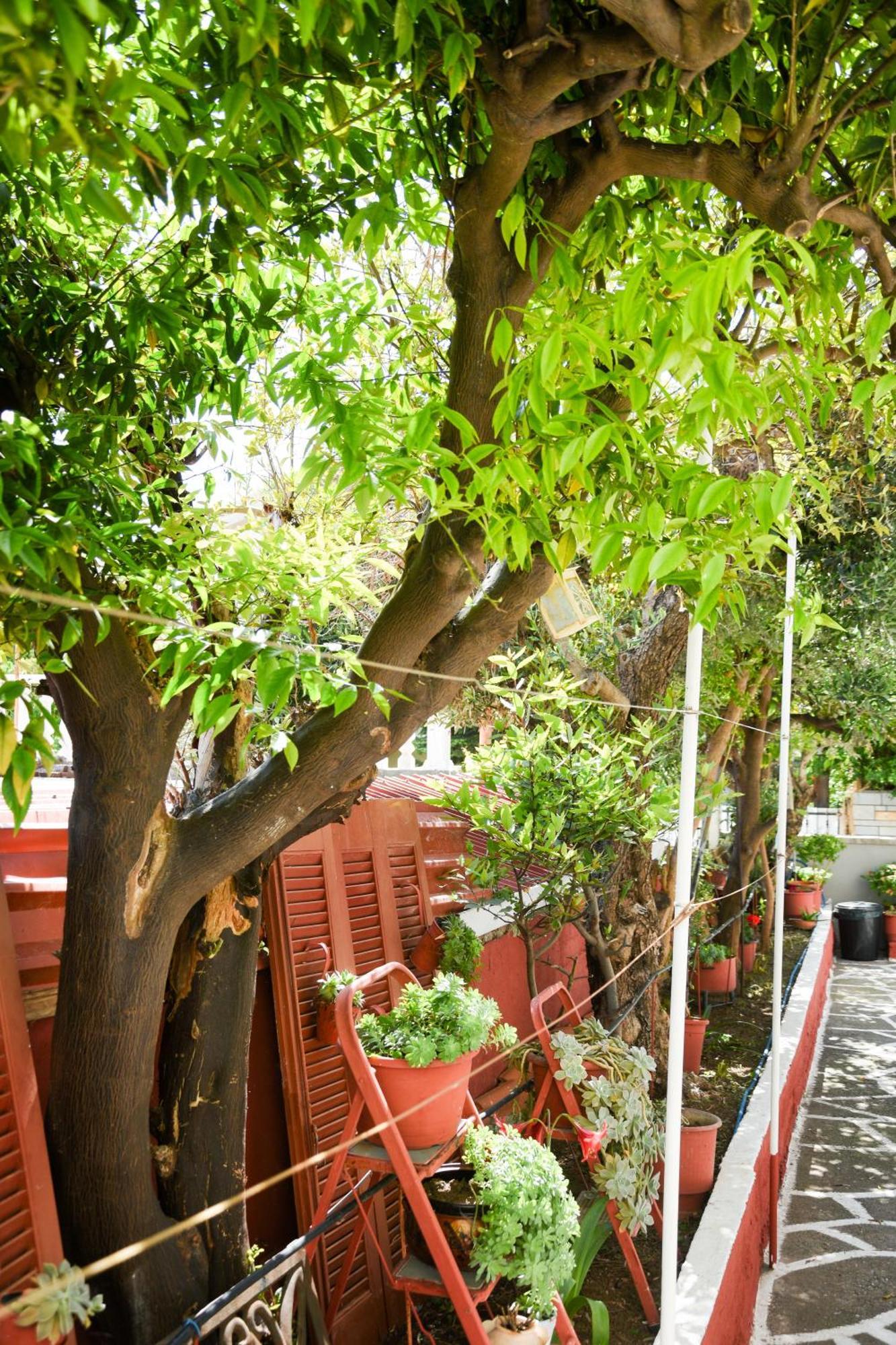 Rent House Daphne Apartment Kavála ภายนอก รูปภาพ