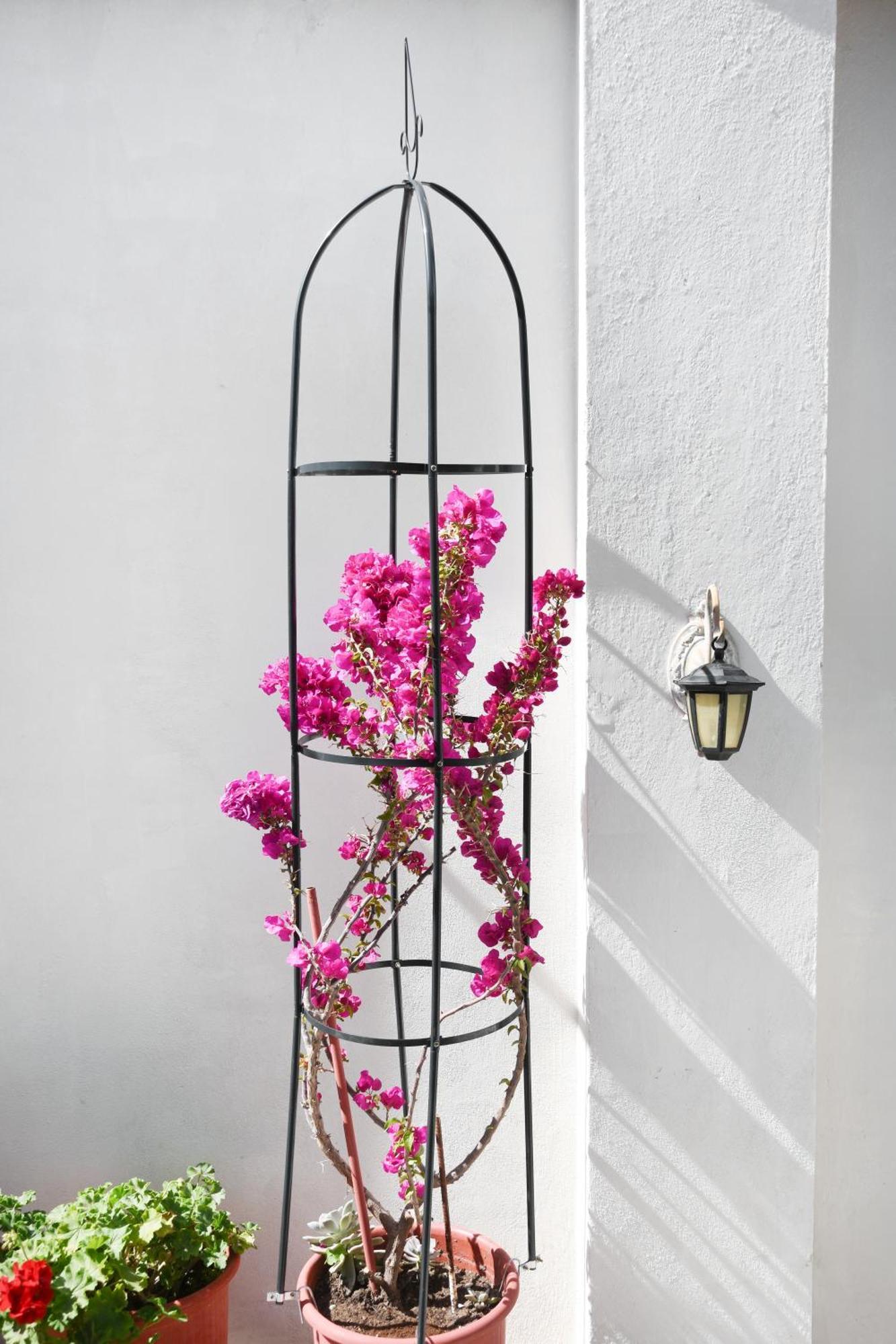 Rent House Daphne Apartment Kavála ภายนอก รูปภาพ